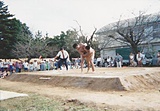 仲秋祭の様子7